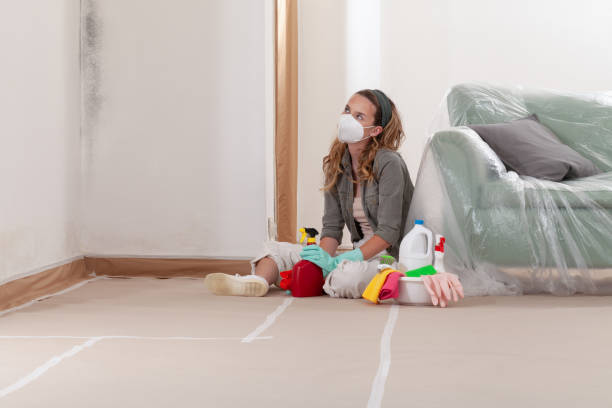 Reliable Mold Removal contractor in Front Royal, VA by WQB Mold Removal